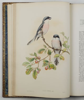 The birds of Great Britain