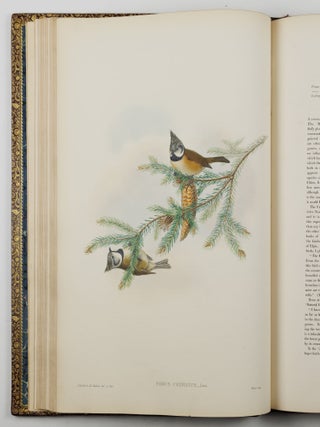 The birds of Great Britain