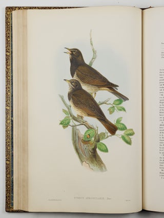 The birds of Great Britain