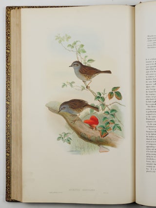 The birds of Great Britain