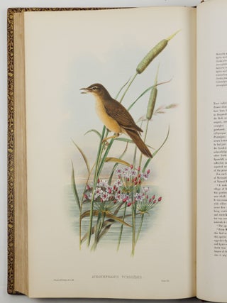 The birds of Great Britain