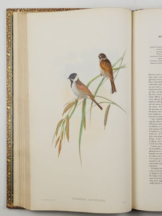 The birds of Great Britain