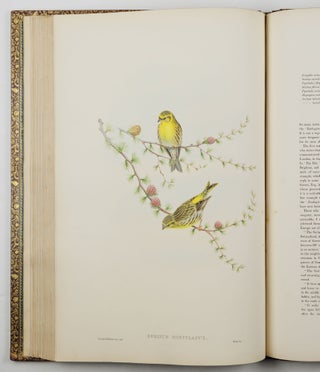 The birds of Great Britain
