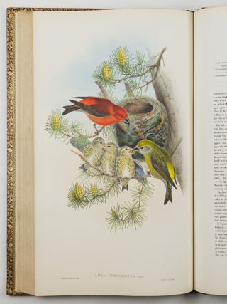 The birds of Great Britain
