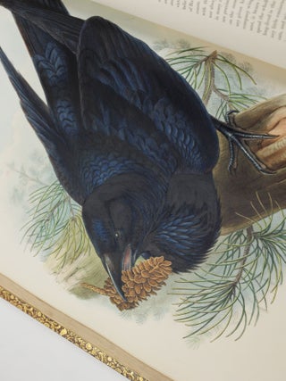The birds of Great Britain