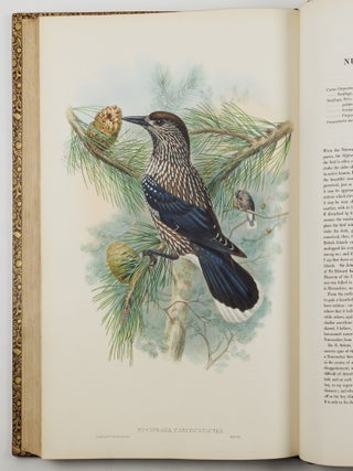 The birds of Great Britain