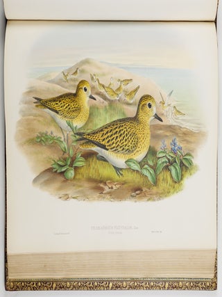 The birds of Great Britain