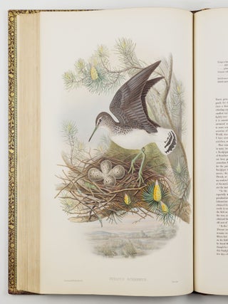 The birds of Great Britain