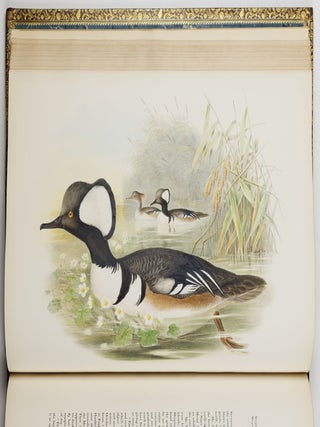 The birds of Great Britain