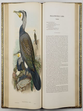 The birds of Great Britain