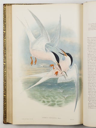 The birds of Great Britain