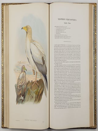 The birds of Great Britain