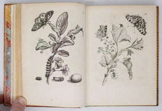 Erucarum ortus, alimentum et paradoxa metamorphosis, In qua Origo, pabulum, transformatio, nec non tempus, locus & proprietates erucarum, vermium, papilionum, phalænarum, muscarum, aliorumque hujusmodi exsanguium animalculorum exhibentur in Favorem, atque insectorum, herbarum, florum, & plantarum Amatorum, tùm etiam pictorum, limbolariorum, aliorumque commodum exactè inquisita, ad vivum delineata, typis excusa, compendiosèque descripta per Mariam Sibillam Merian