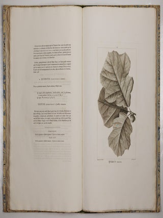 Histoire des chênes de l'Amérique, ou Descriptions et Figures de toutes les espèces et variétés de Chênes de l’Amérique Septentrionale, Considérées sous les rapports de la Botanique, de leur culture et de leur usage. Par André Michaux, Membre associé de l’Institut national de France, de la Société d’Agriculture de Charleston, Caroline méridionale, etc.