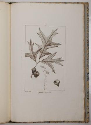Histoire des chênes de l'Amérique, ou Descriptions et Figures de toutes les espèces et variétés de Chênes de l’Amérique Septentrionale, Considérées sous les rapports de la Botanique, de leur culture et de leur usage. Par André Michaux, Membre associé de l’Institut national de France, de la Société d’Agriculture de Charleston, Caroline méridionale, etc.