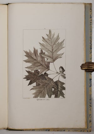 Histoire des chênes de l'Amérique, ou Descriptions et Figures de toutes les espèces et variétés de Chênes de l’Amérique Septentrionale, Considérées sous les rapports de la Botanique, de leur culture et de leur usage. Par André Michaux, Membre associé de l’Institut national de France, de la Société d’Agriculture de Charleston, Caroline méridionale, etc.