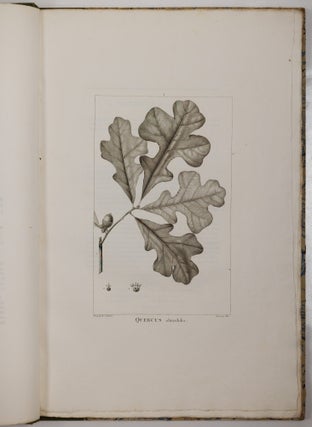 Histoire des chênes de l'Amérique, ou Descriptions et Figures de toutes les espèces et variétés de Chênes de l’Amérique Septentrionale, Considérées sous les rapports de la Botanique, de leur culture et de leur usage. Par André Michaux, Membre associé de l’Institut national de France, de la Société d’Agriculture de Charleston, Caroline méridionale, etc.