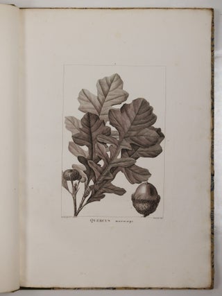 Histoire des chênes de l'Amérique, ou Descriptions et Figures de toutes les espèces et variétés de Chênes de l’Amérique Septentrionale, Considérées sous les rapports de la Botanique, de leur culture et de leur usage. Par André Michaux, Membre associé de l’Institut national de France, de la Société d’Agriculture de Charleston, Caroline méridionale, etc.