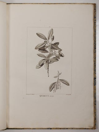 Histoire des chênes de l'Amérique, ou Descriptions et Figures de toutes les espèces et variétés de Chênes de l’Amérique Septentrionale, Considérées sous les rapports de la Botanique, de leur culture et de leur usage. Par André Michaux, Membre associé de l’Institut national de France, de la Société d’Agriculture de Charleston, Caroline méridionale, etc.