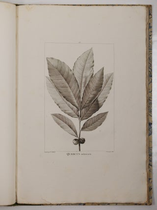 Histoire des chênes de l'Amérique, ou Descriptions et Figures de toutes les espèces et variétés de Chênes de l’Amérique Septentrionale, Considérées sous les rapports de la Botanique, de leur culture et de leur usage. Par André Michaux, Membre associé de l’Institut national de France, de la Société d’Agriculture de Charleston, Caroline méridionale, etc.