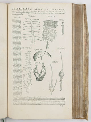 Andreae Vesalii bruxellensis, scholae medicorum Patauinæ professoris, de Humani corporis fabrica Libri septem