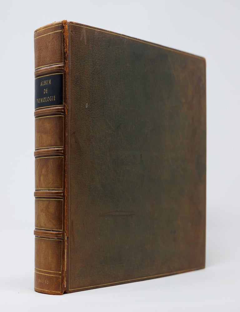 Album de pomologie. Alexandre Joseph D&eacute;sir&eacute; and Bivort.