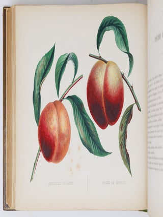 Album de pomologie
