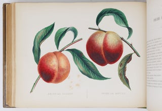 Album de pomologie