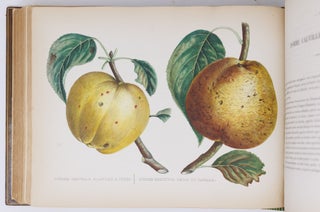 Album de pomologie