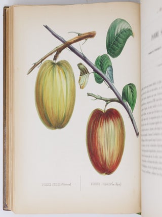 Album de pomologie