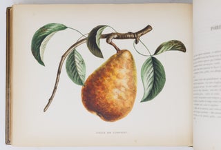 Album de pomologie