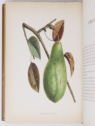 Album de pomologie