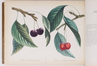 Album de pomologie