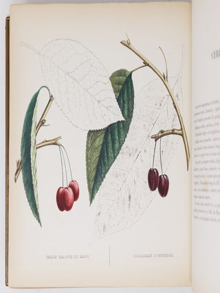 Album de pomologie