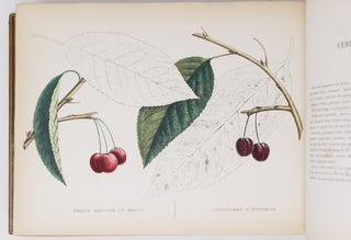 Album de pomologie