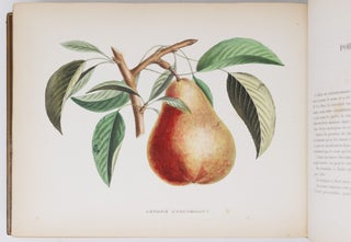 Album de pomologie