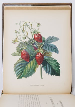Album de pomologie