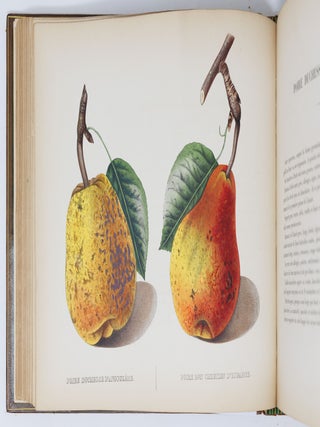 Album de pomologie