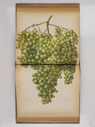 Album de pomologie