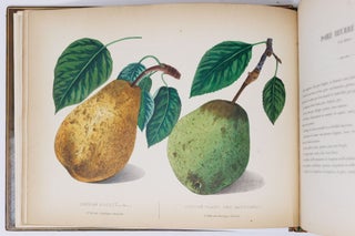 Album de pomologie