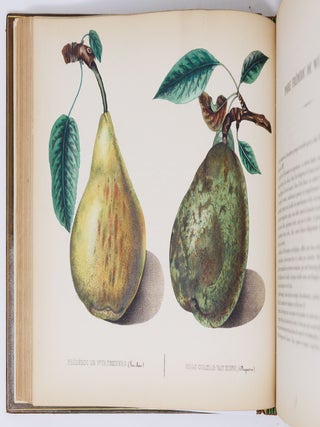 Album de pomologie