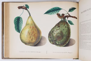 Album de pomologie
