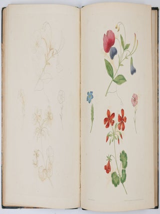 A new treatise on flower painting, or every lady her own drawing master: containing familiar and easy instructions for acquiring A perfect Knowledge of Drawing Flowers with Accuracy and Taste: also complete directions for producing the various tints. By George Brookshaw, Esq. author of the Pomona Britannica
