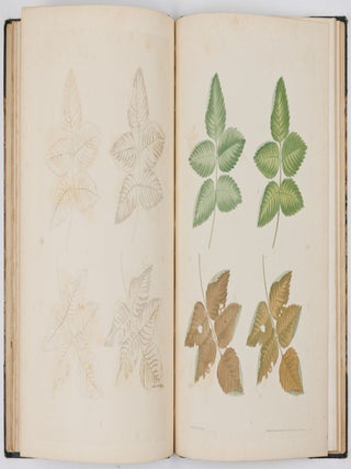 A new treatise on flower painting, or every lady her own drawing master: containing familiar and easy instructions for acquiring A perfect Knowledge of Drawing Flowers with Accuracy and Taste: also complete directions for producing the various tints. By George Brookshaw, Esq. author of the Pomona Britannica