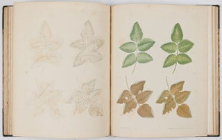 A new treatise on flower painting, or every lady her own drawing master: containing familiar and easy instructions for acquiring A perfect Knowledge of Drawing Flowers with Accuracy and Taste: also complete directions for producing the various tints. By George Brookshaw, Esq. author of the Pomona Britannica