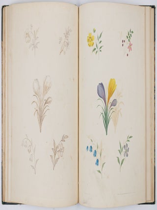 A new treatise on flower painting, or every lady her own drawing master: containing familiar and easy instructions for acquiring A perfect Knowledge of Drawing Flowers with Accuracy and Taste: also complete directions for producing the various tints. By George Brookshaw, Esq. author of the Pomona Britannica