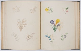 A new treatise on flower painting, or every lady her own drawing master: containing familiar and easy instructions for acquiring A perfect Knowledge of Drawing Flowers with Accuracy and Taste: also complete directions for producing the various tints. By George Brookshaw, Esq. author of the Pomona Britannica