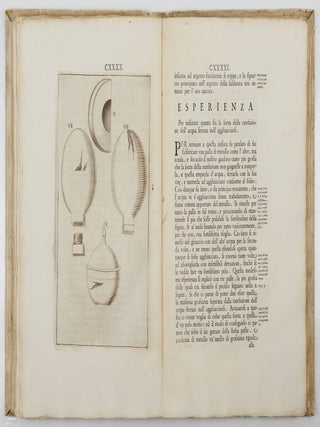 Saggi di naturali esperienze fatte nell&rsquo;Accademia del Cimento sotto la protezione del Serenissimo Principe Leopoldo di Toscana e descritte dal segretario di essa accademia