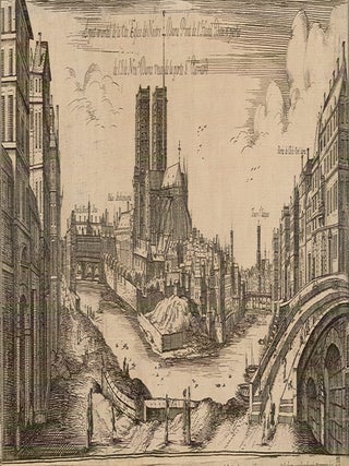 Luteti&aelig;, vulgo, Paris, urbis Galliarum primari&aelig;, non Europ&aelig; solius, sed orbis totius celeberrim&aelig; prospectus