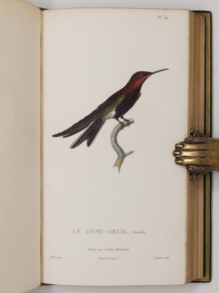 Histoire naturelle des oiseaux-mouches, ouvrage orn&eacute; de planches dessin&eacute;es et grav&eacute;es par les meilleurs artistes, et dedi&eacute; A S. A. R. Mademoiselle. . . WITH Histoire naturelle des colibris, suivie d'un suppl&eacute;ment a l'histoire naturelle des oiseaux-mouches; ouvrage orn&eacute; de planches dessin&eacute;s et grav&eacute;es par les meilleurs artistes, et d&eacute;di&eacute; A M. le Baron Cuvier. Par R. P. Lesson. . . AND Les trochilid&eacute;es ou les colibris et les oiseaux-mouches, suivis d'un index g&eacute;n&eacute;ral, dans lequel sont d&eacute;crits et class&eacute;s m&eacute;thodiquement toutes les races et esp&egrave;ces du genre Trochilus. Ouvrage orn&eacute; de planches dessin&eacute;es et grav&eacute;es par les meilleurs artistes, par R. P. Lesson. . .
